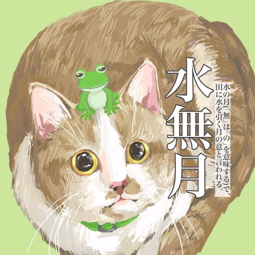 菱屋ひしまる＆いちまつさん(🐱)@低浮上気味