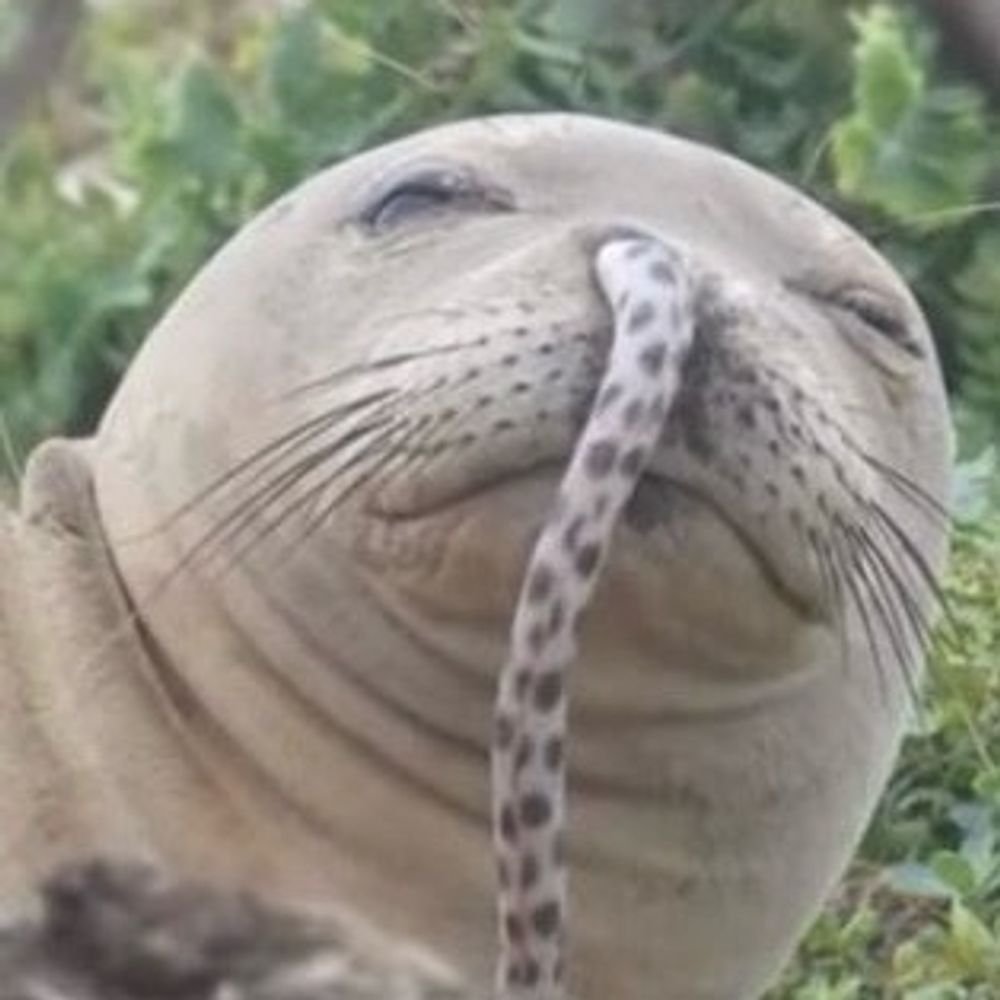 ｳﾅｷﾞ