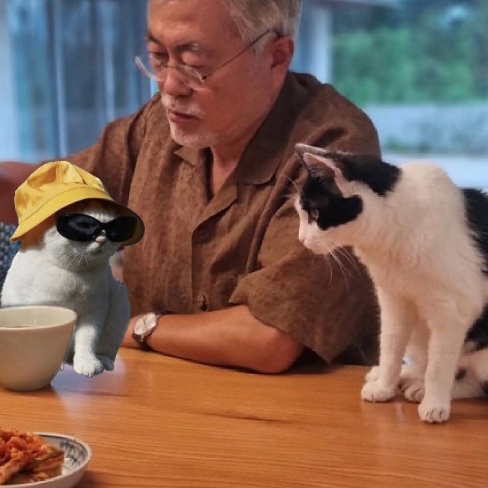 해쓰