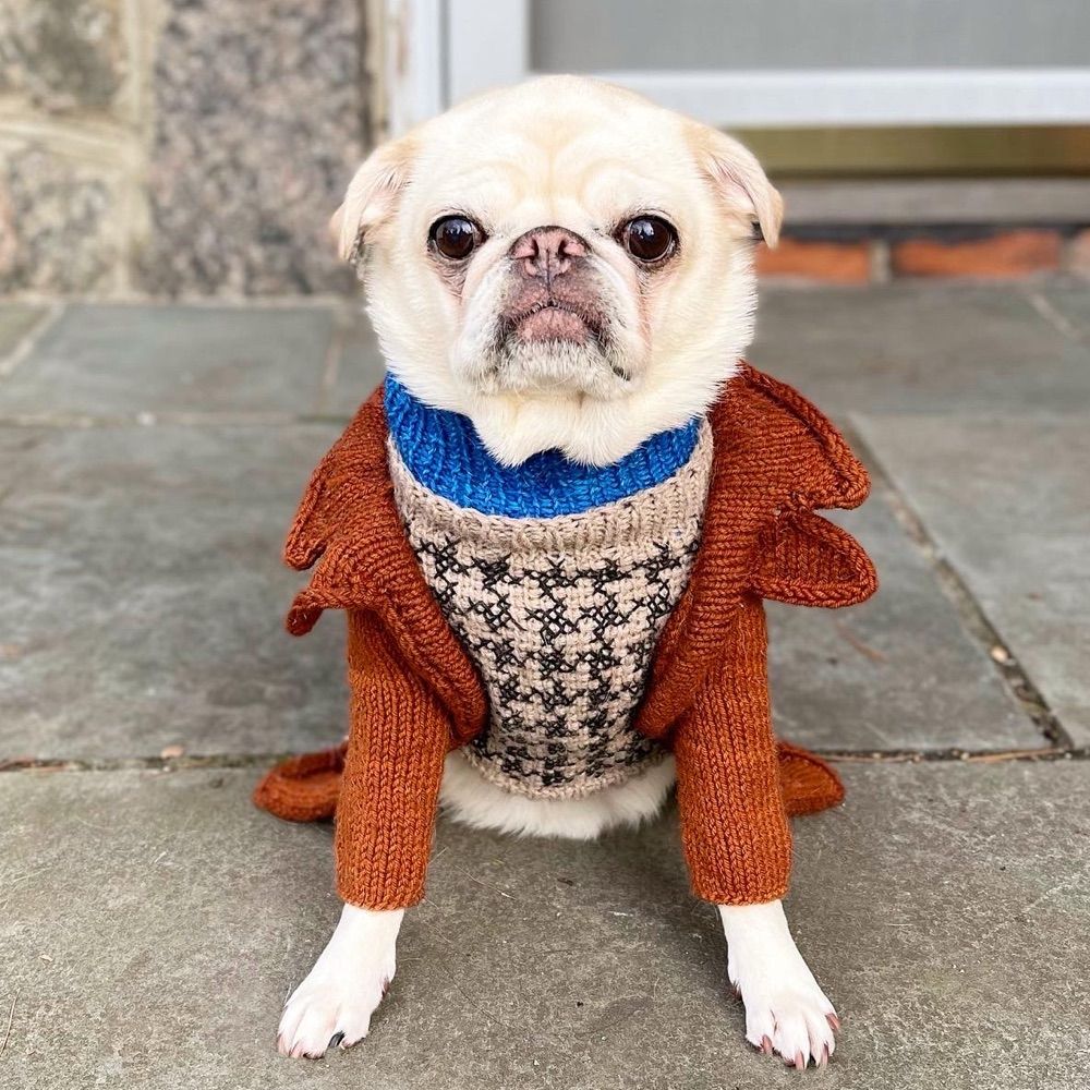 PugSmore ⁷💜