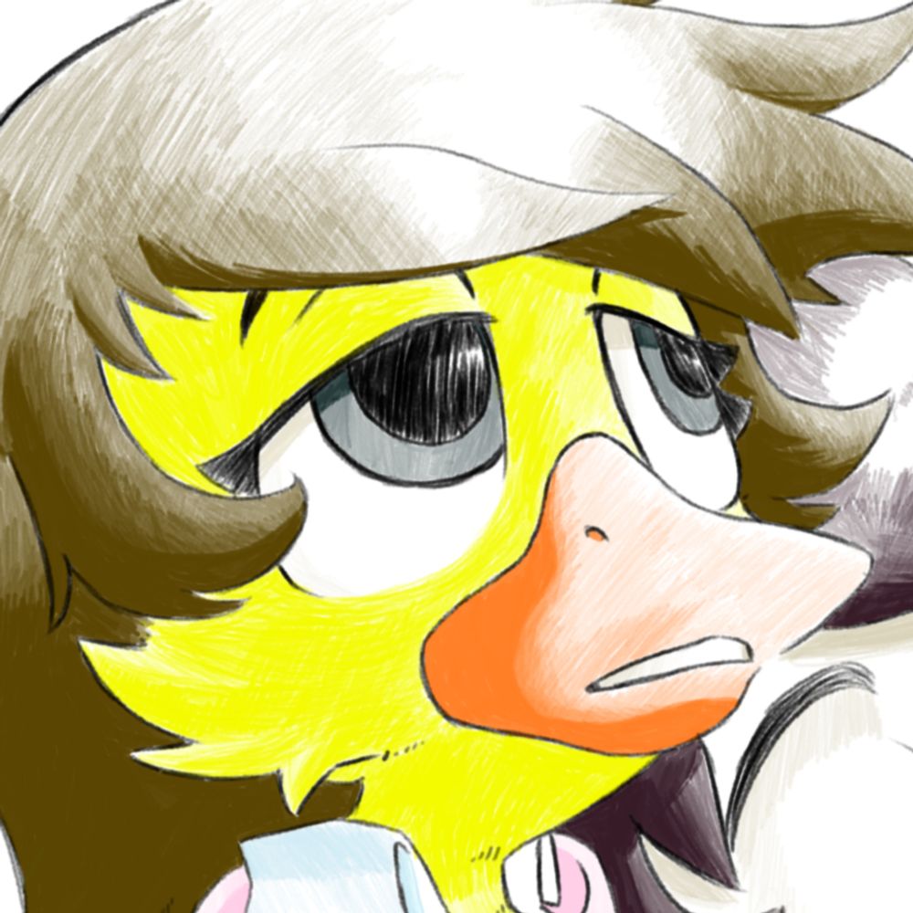 NS || McDuckerz
