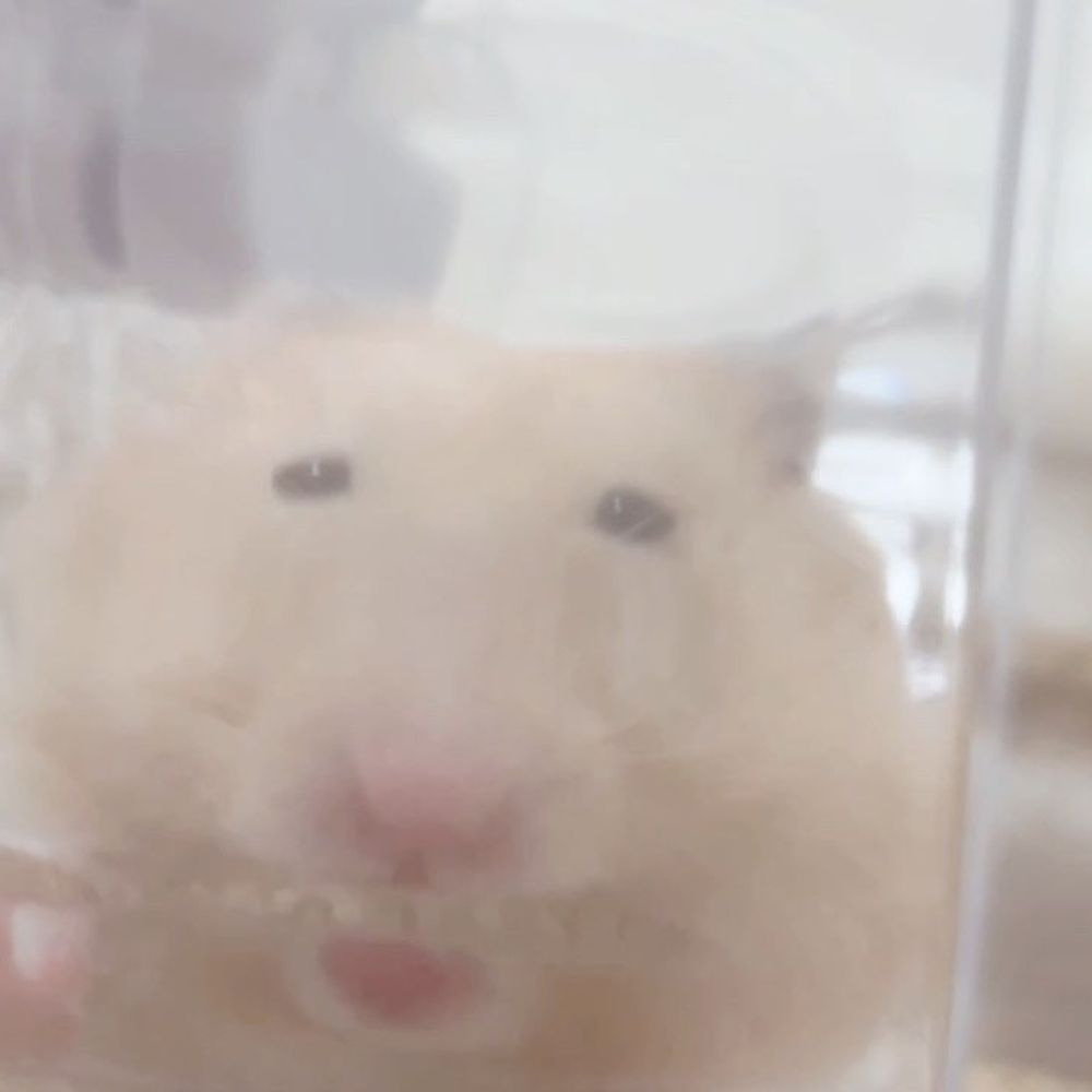 ㅆ