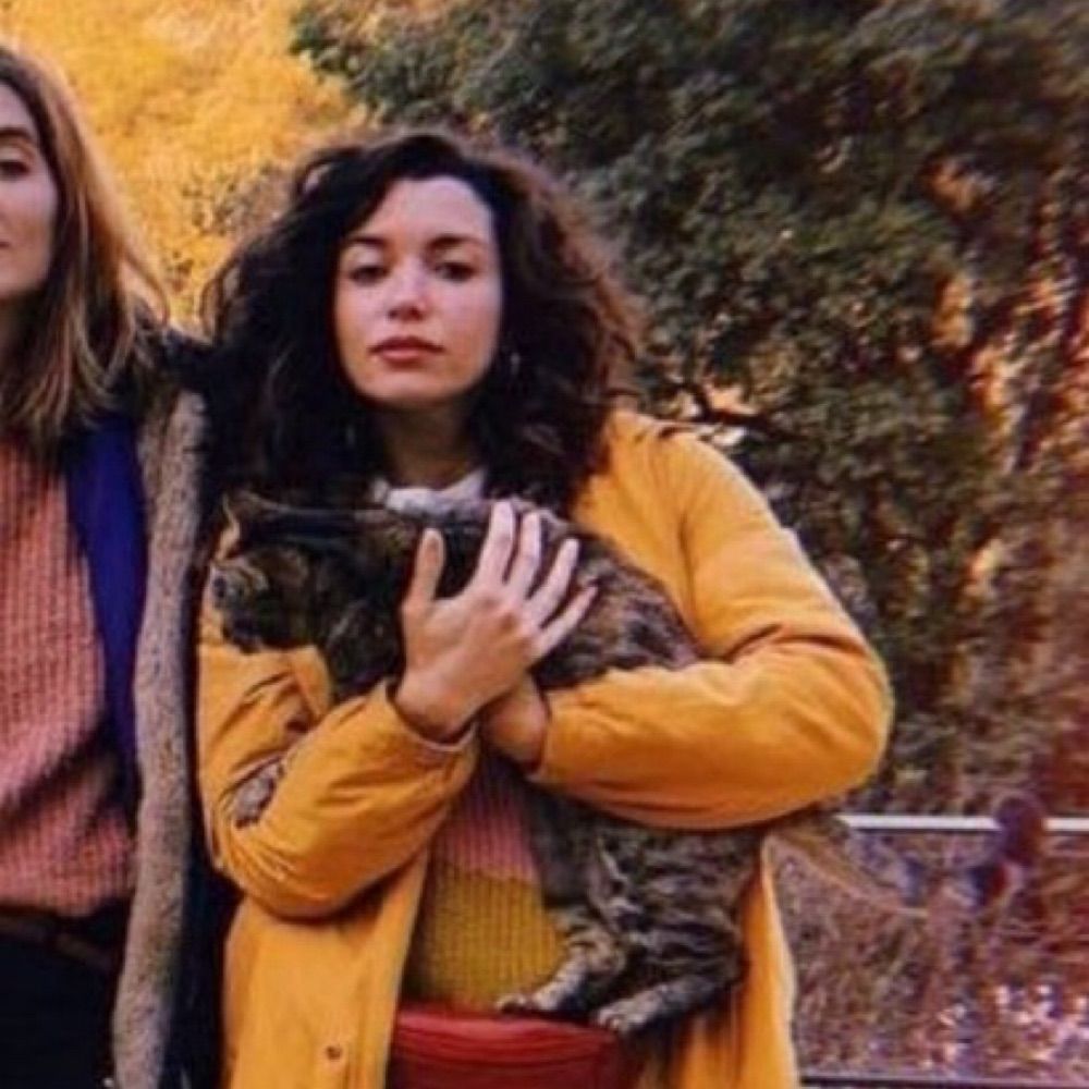Catwithlime
