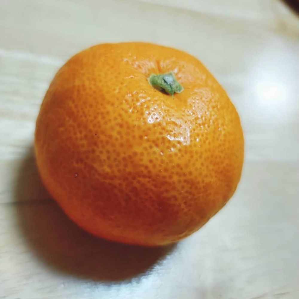 koppepan_orange