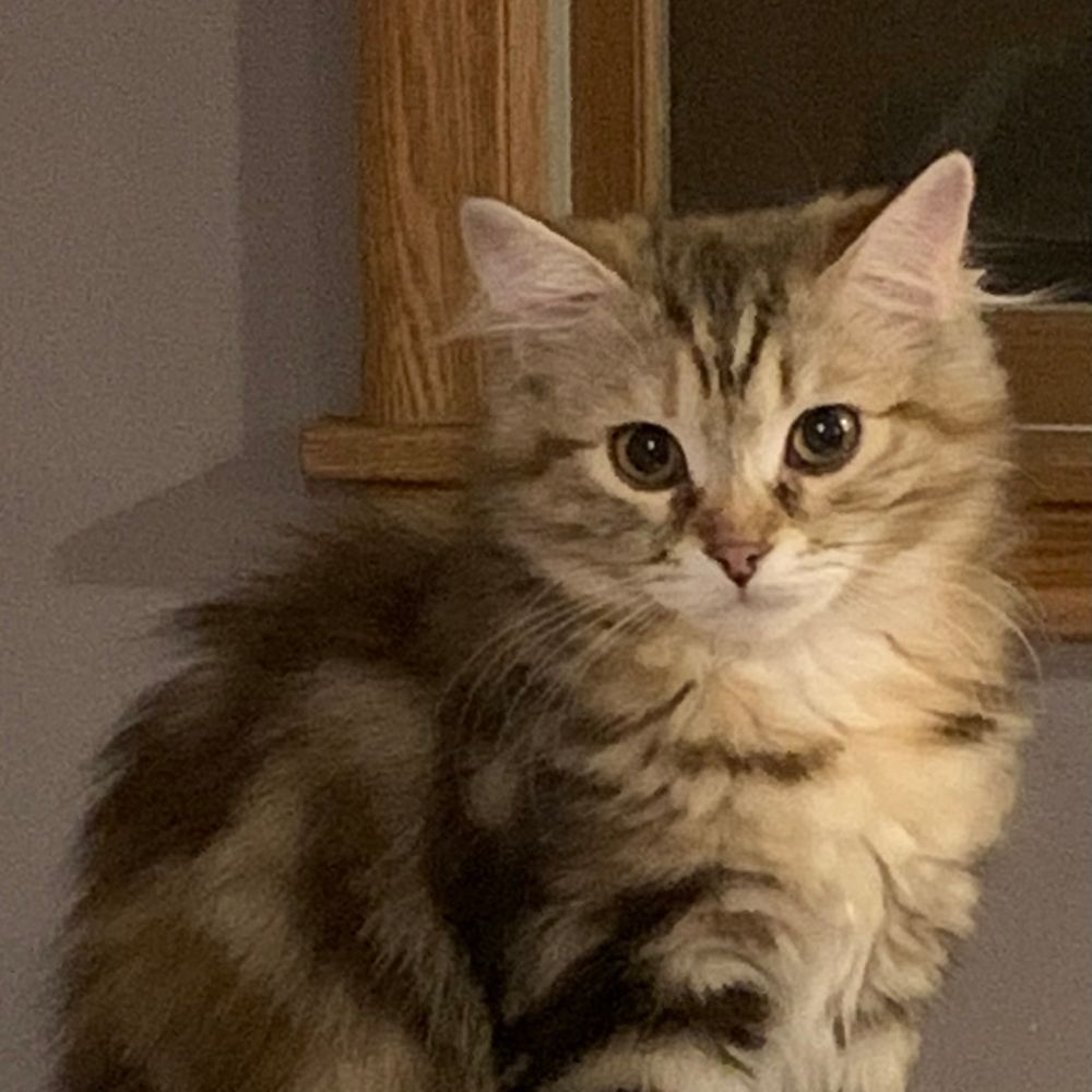 Kaia the Small and Mighty, Mighty Small