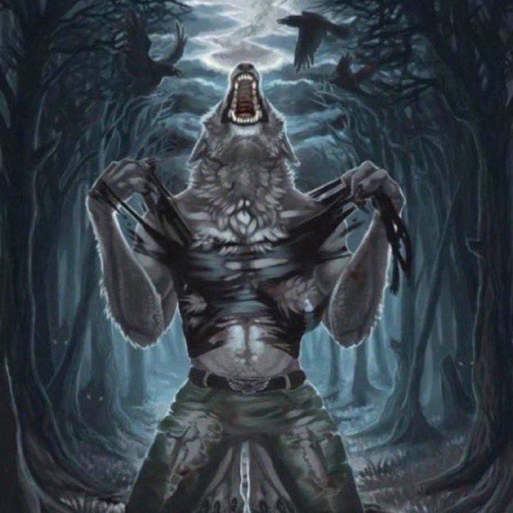 Xavier