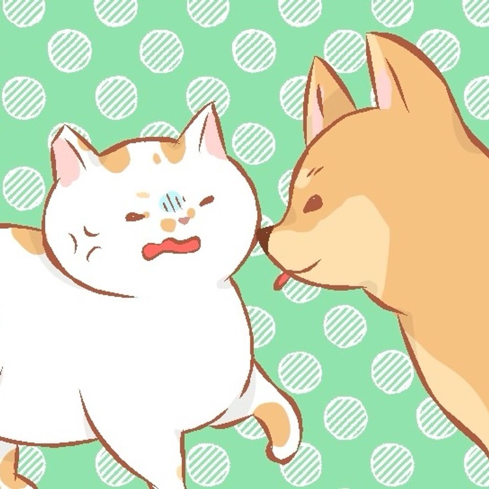 七杜のん