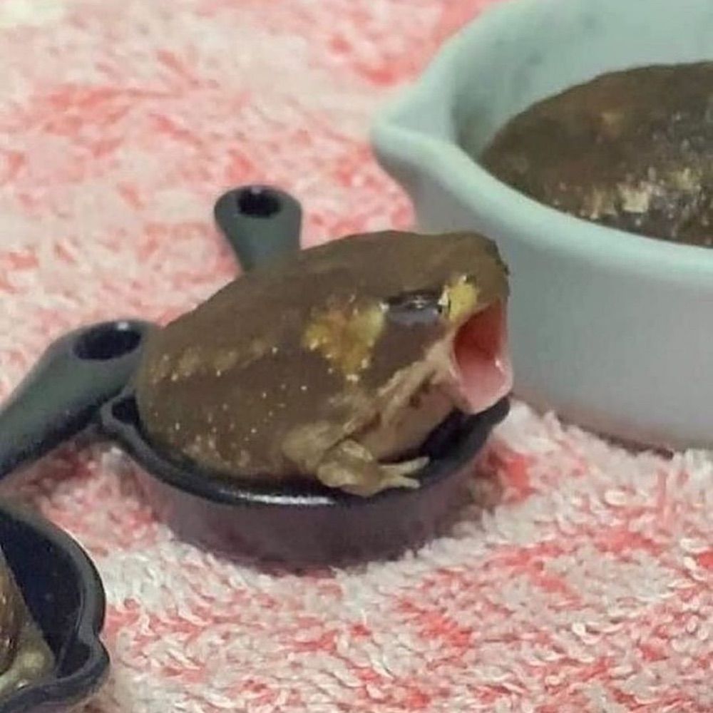 Froggy