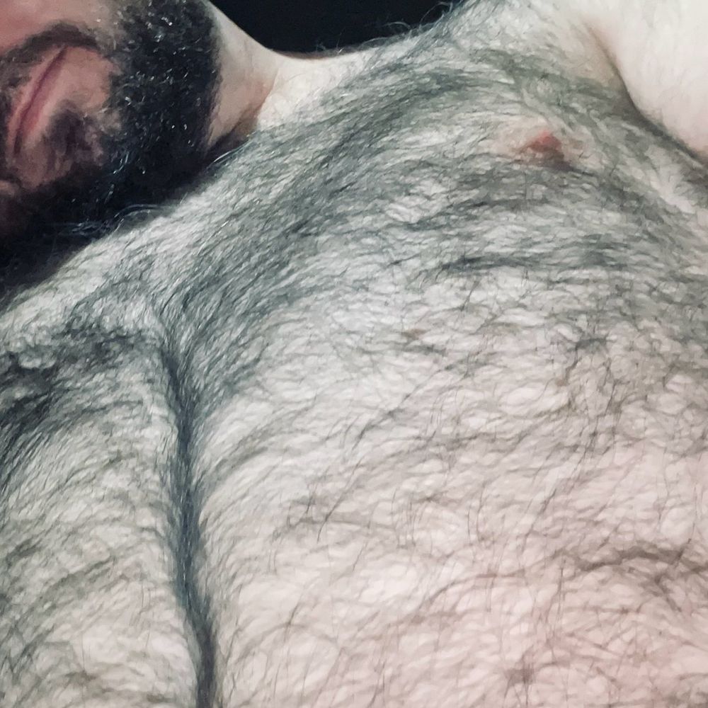 Profile picture hairycub91.bsky.social