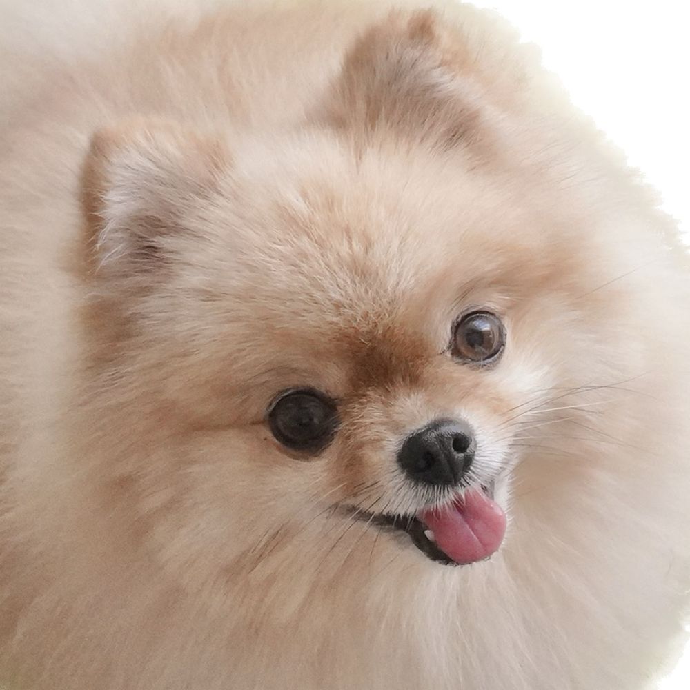 ゆっこ