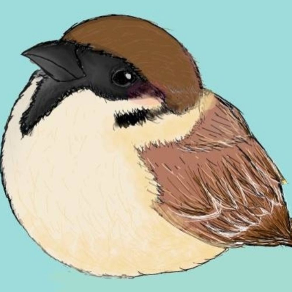 飛べない雀