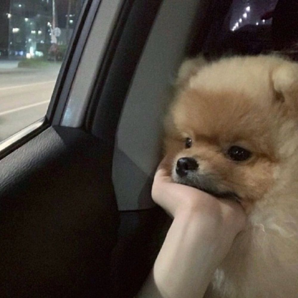 다롱