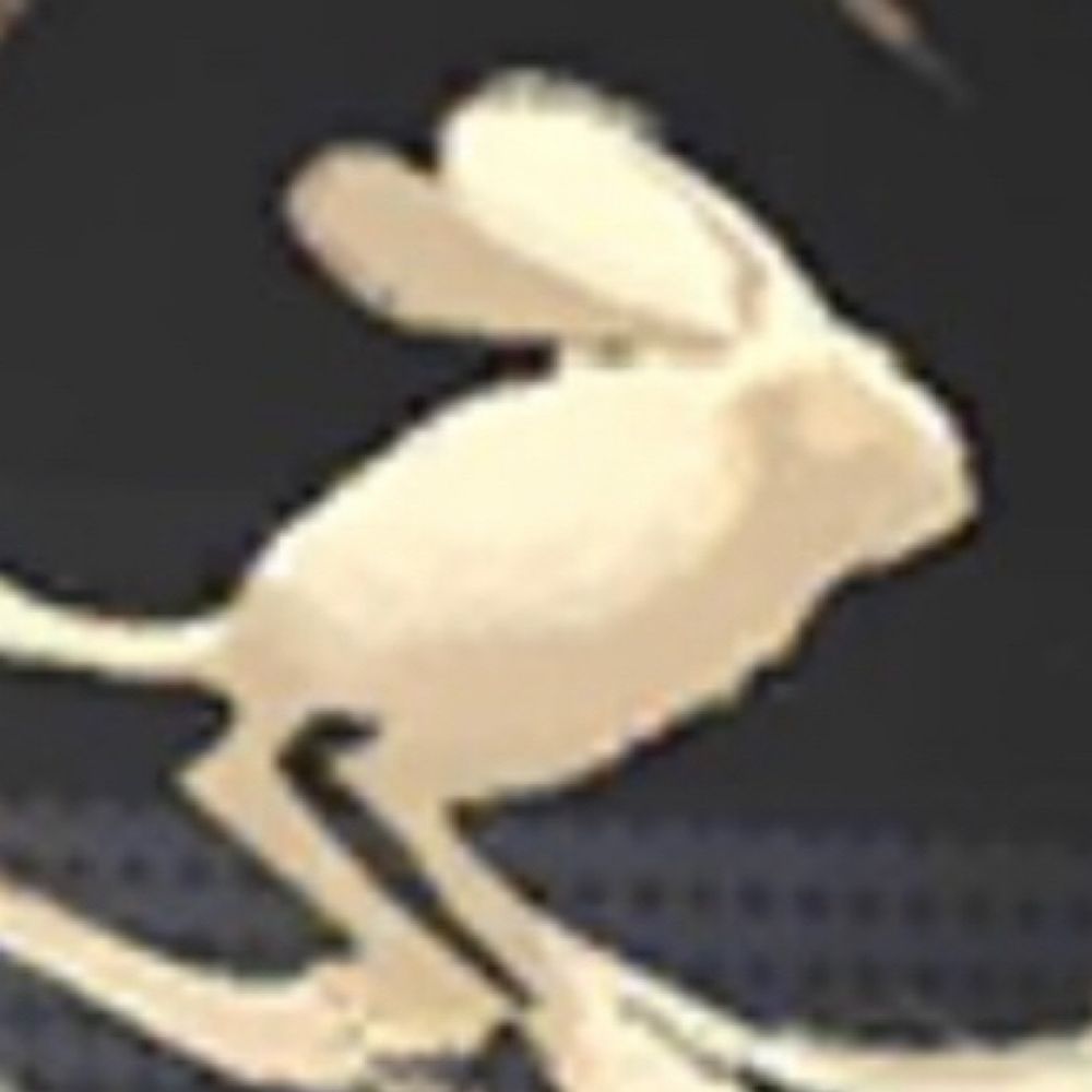 こたつ