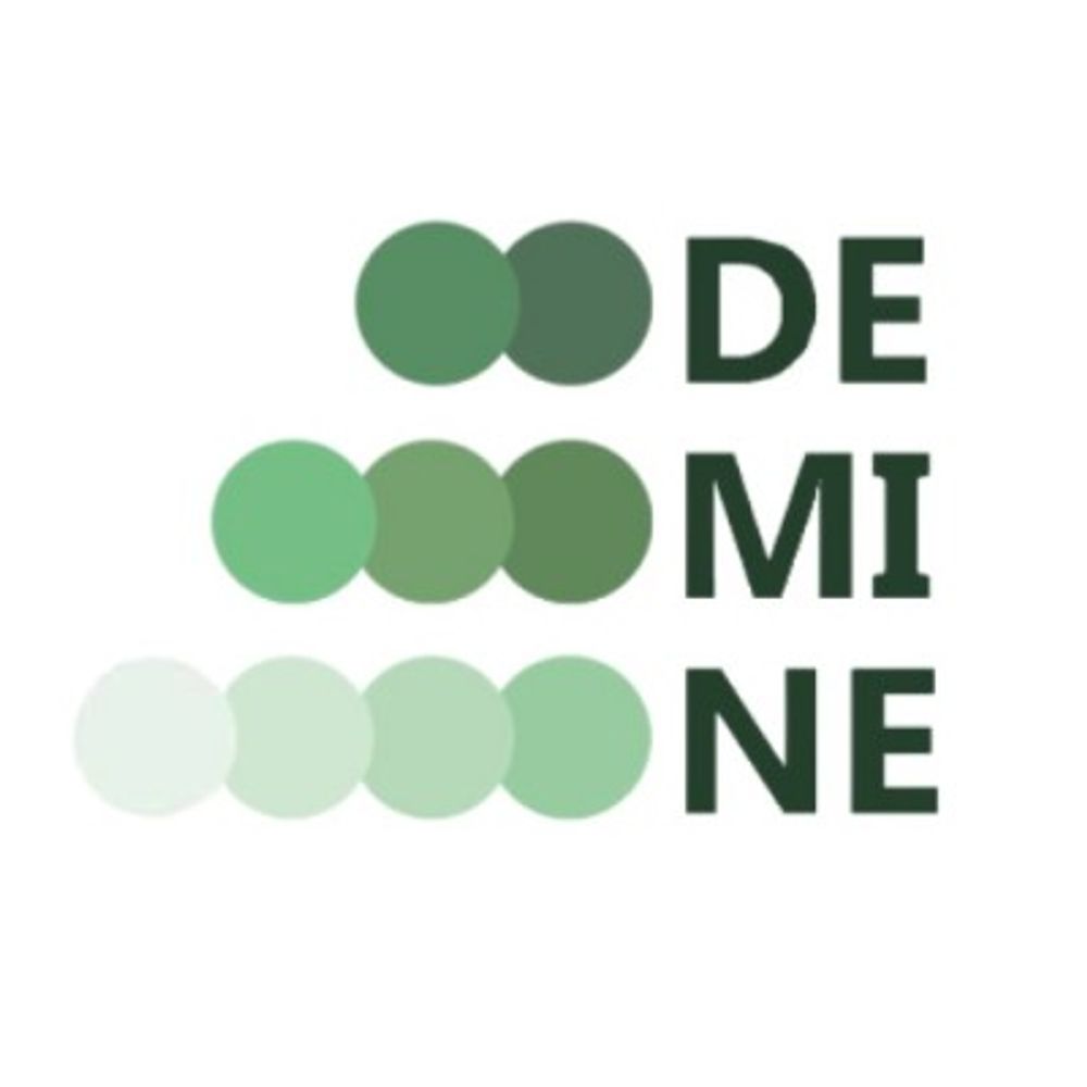 DEMINE