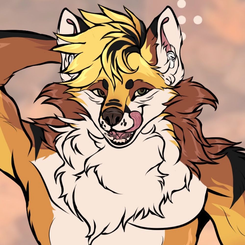 RiskFox!