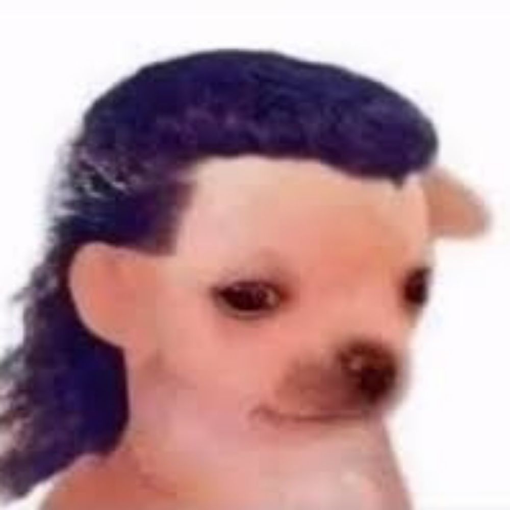 fabim
