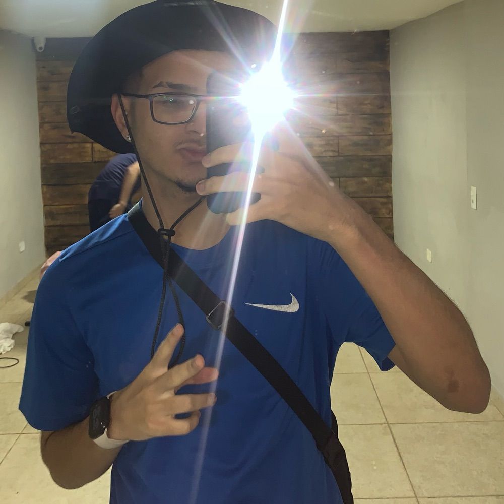 alv4res
