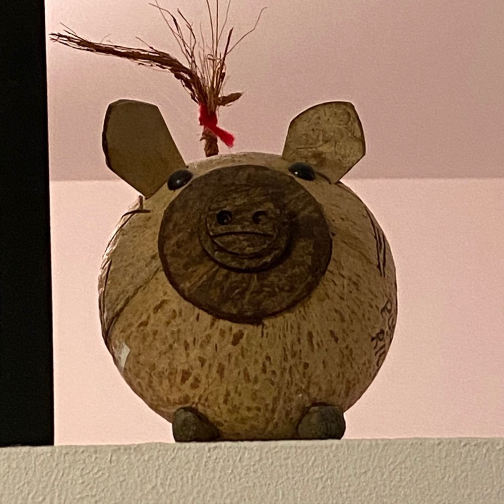 Porco Bozo