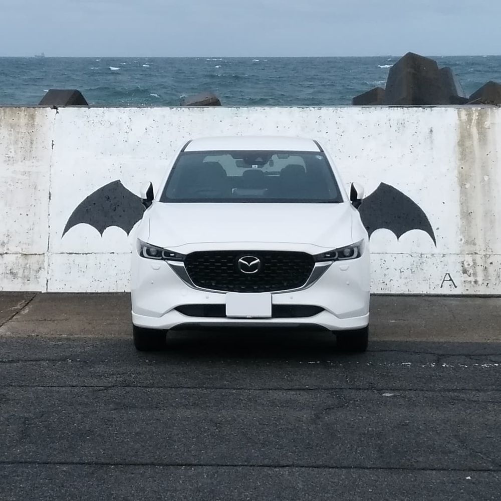 きよ