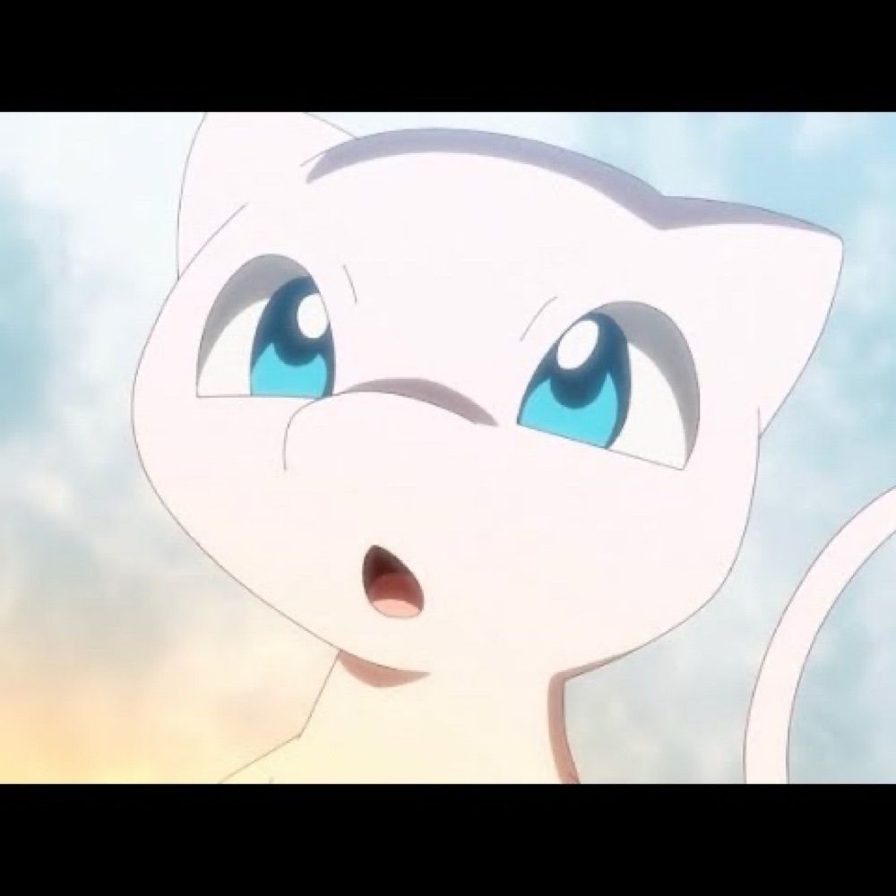 Meww ✨