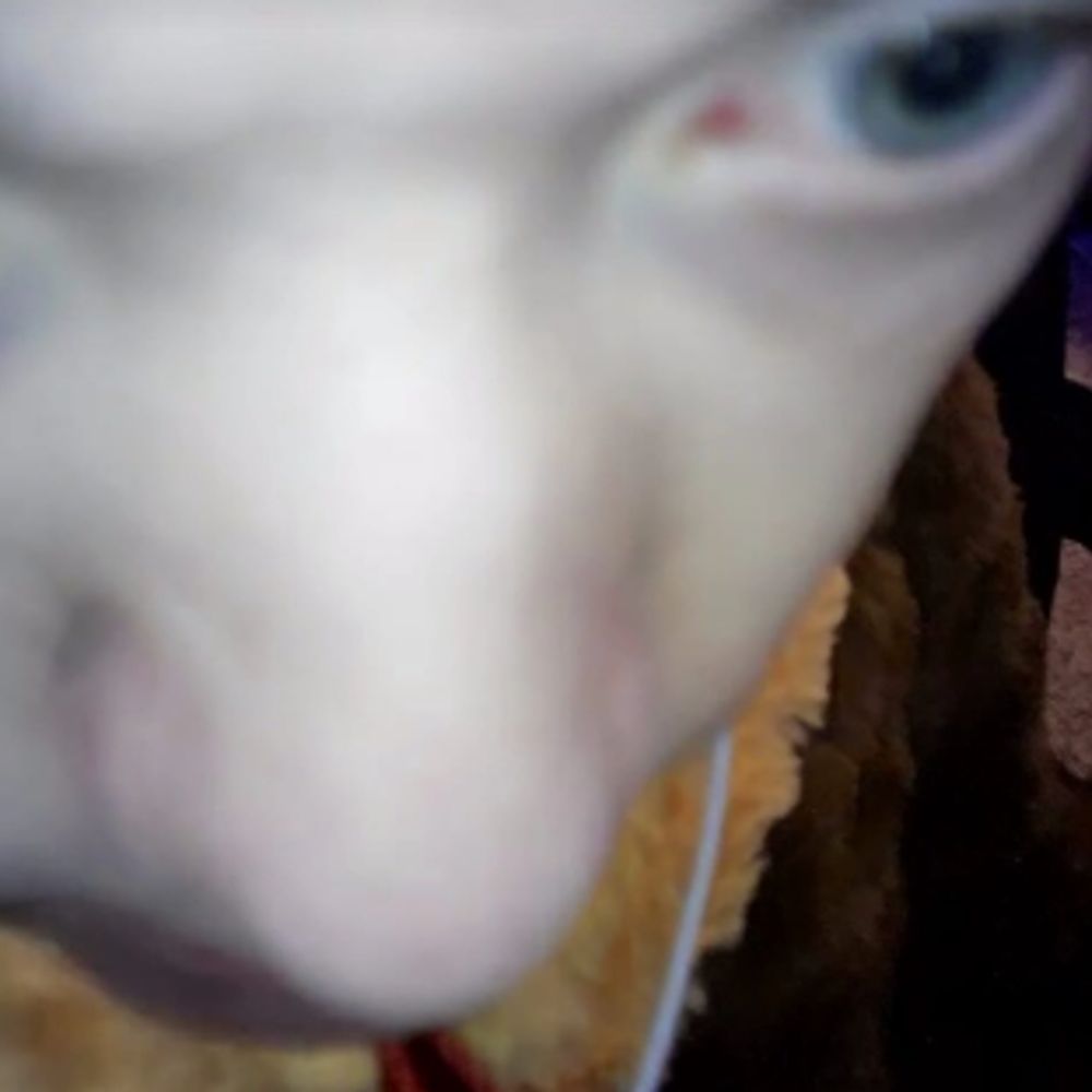 notthatsad (16+)