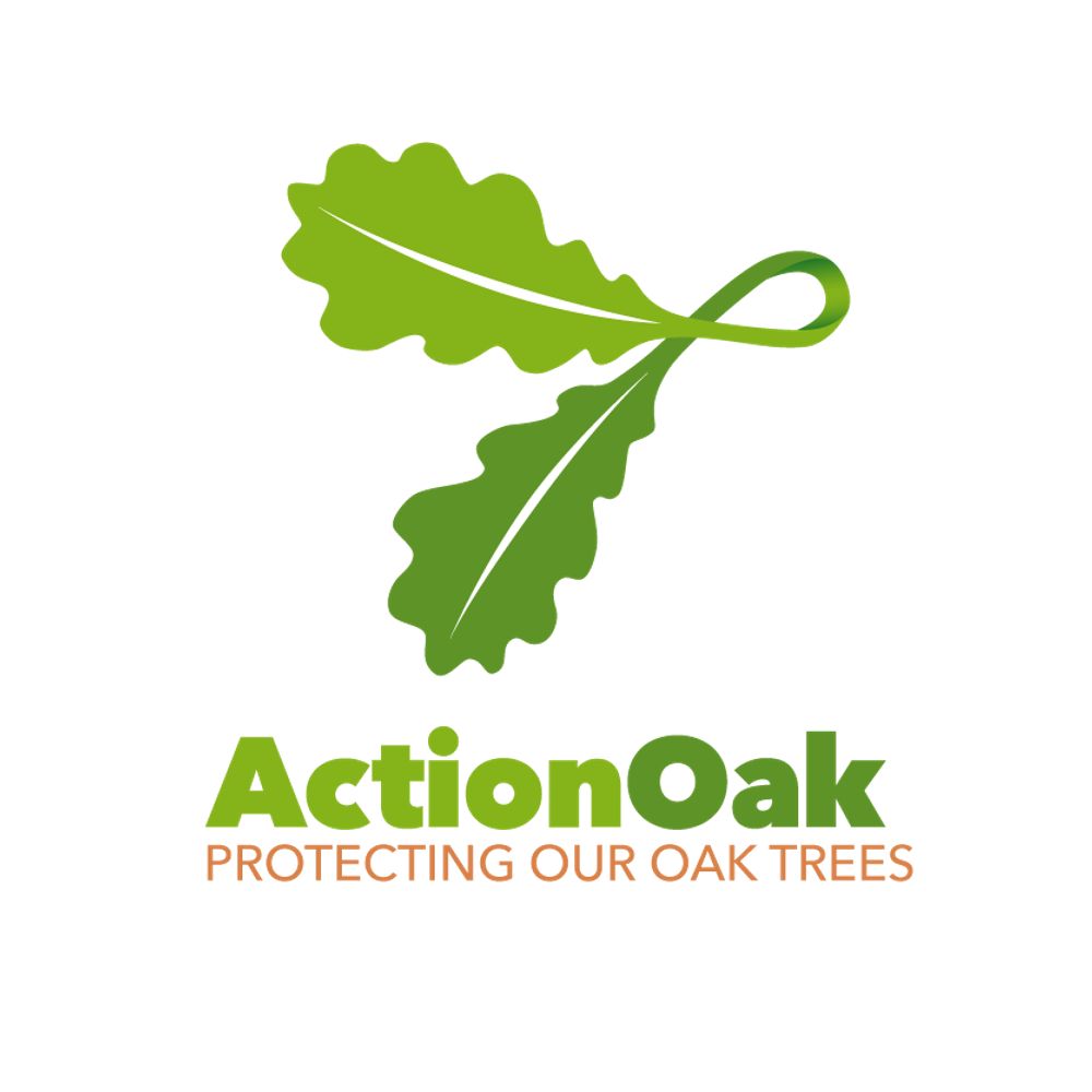 Action Oak