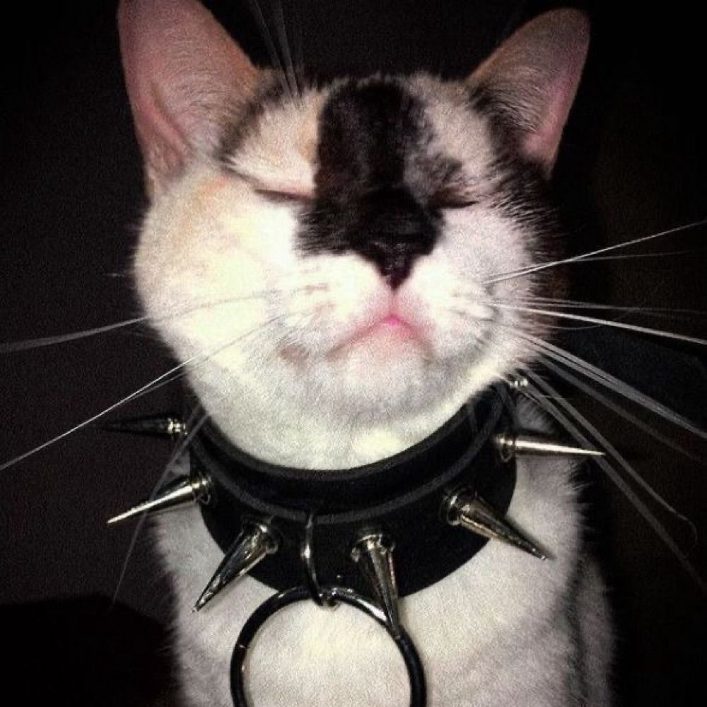 ⛓️