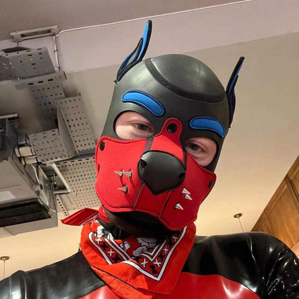 Pup Blu