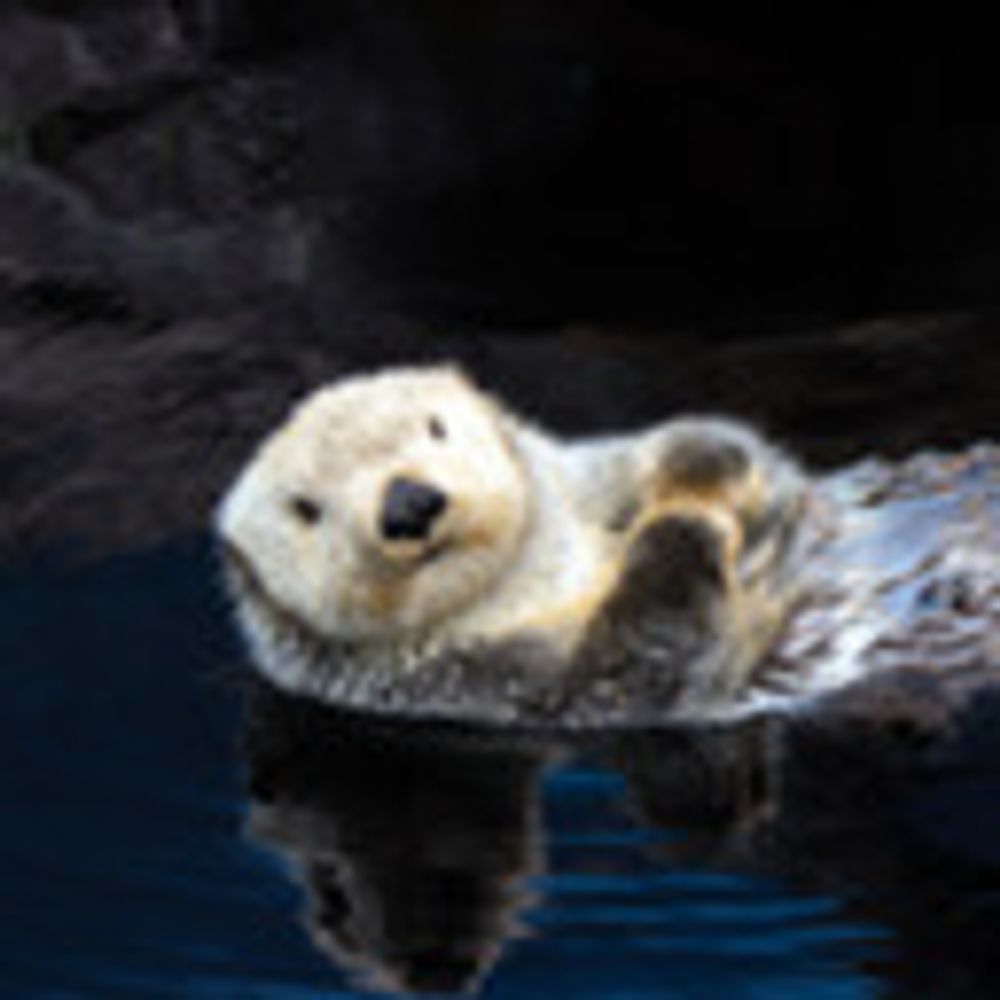 Otter Von Bismarck