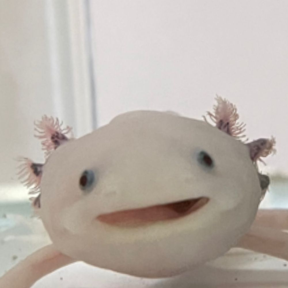 ﾁｬﾝ‼️