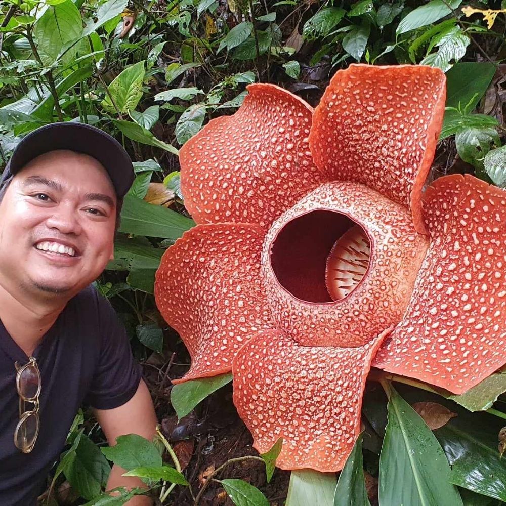 Pungky Nanda Pratama