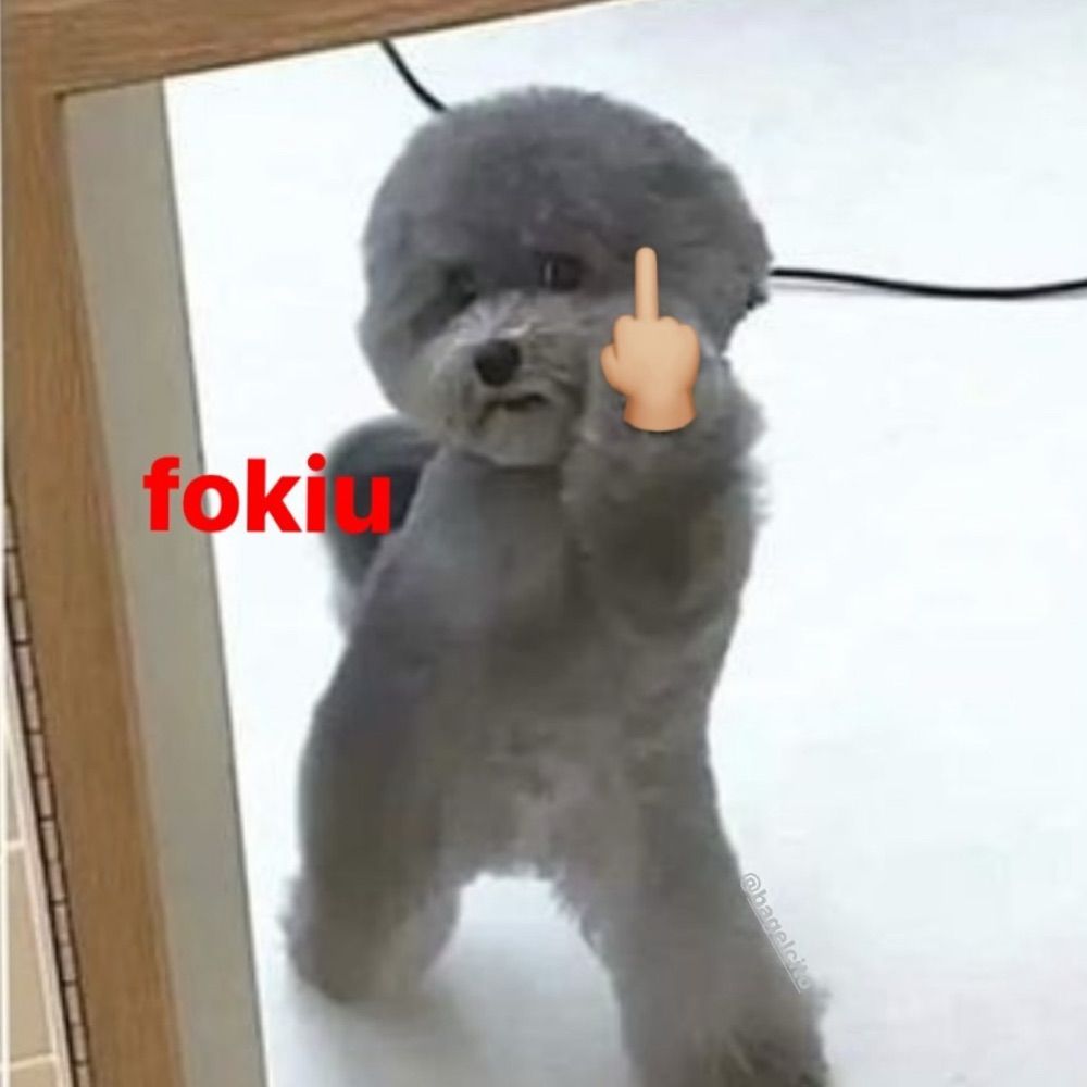User avatar