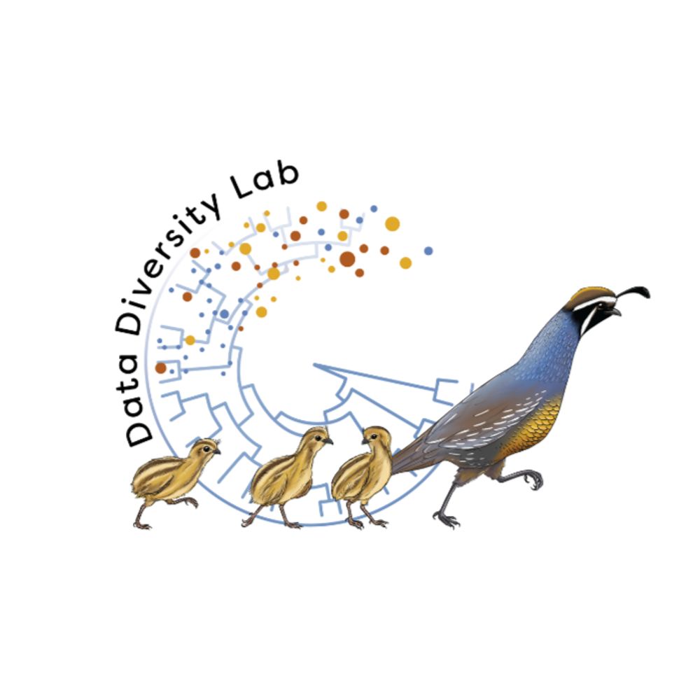 The Data Diversity Lab