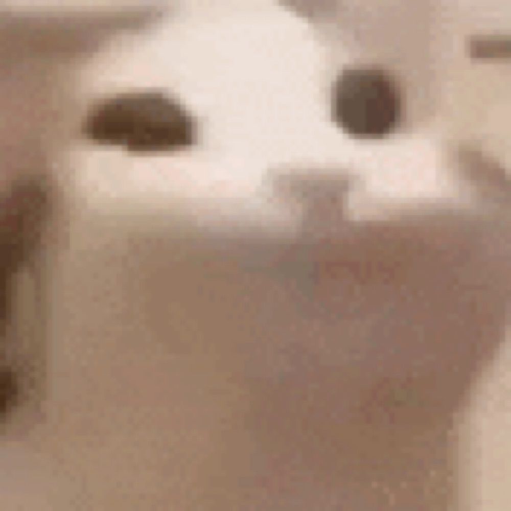 y a d i d