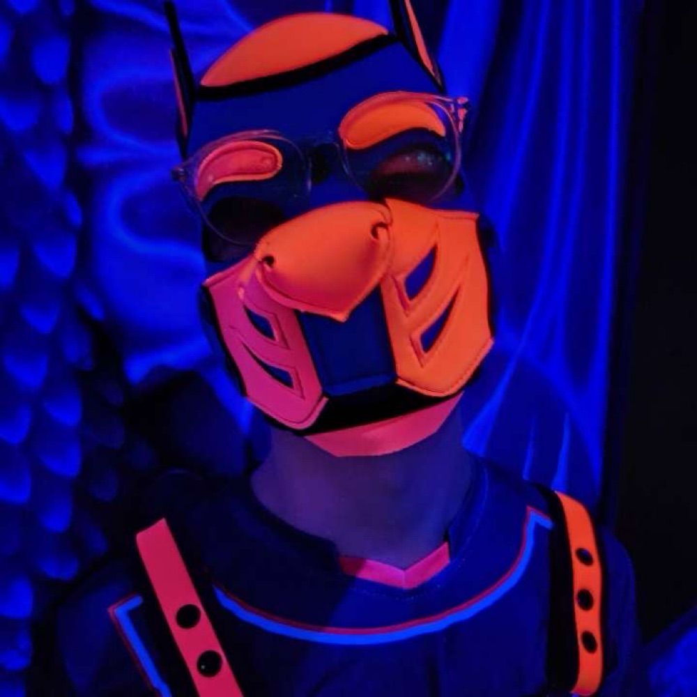 Pup Alex
