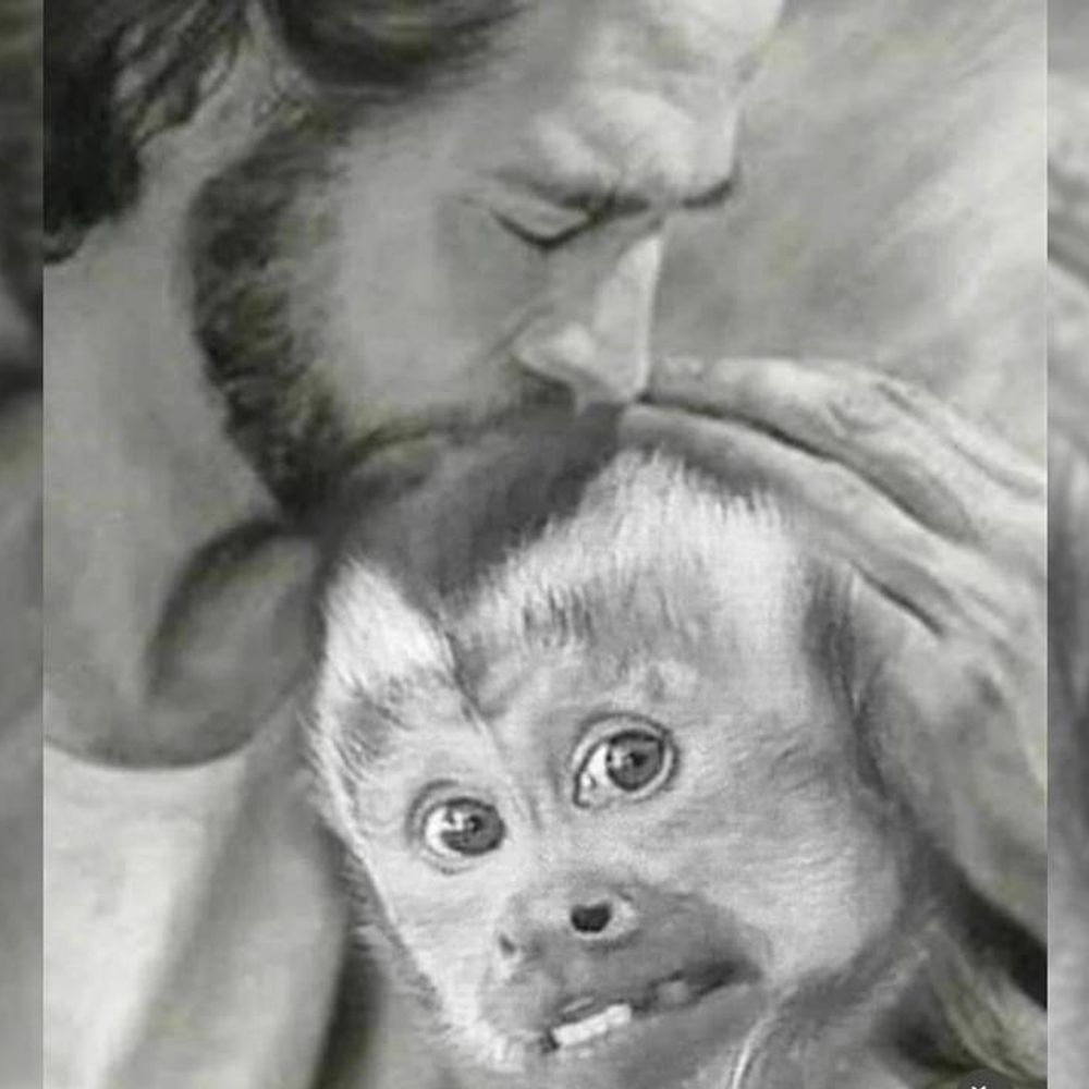 MonkeYisu