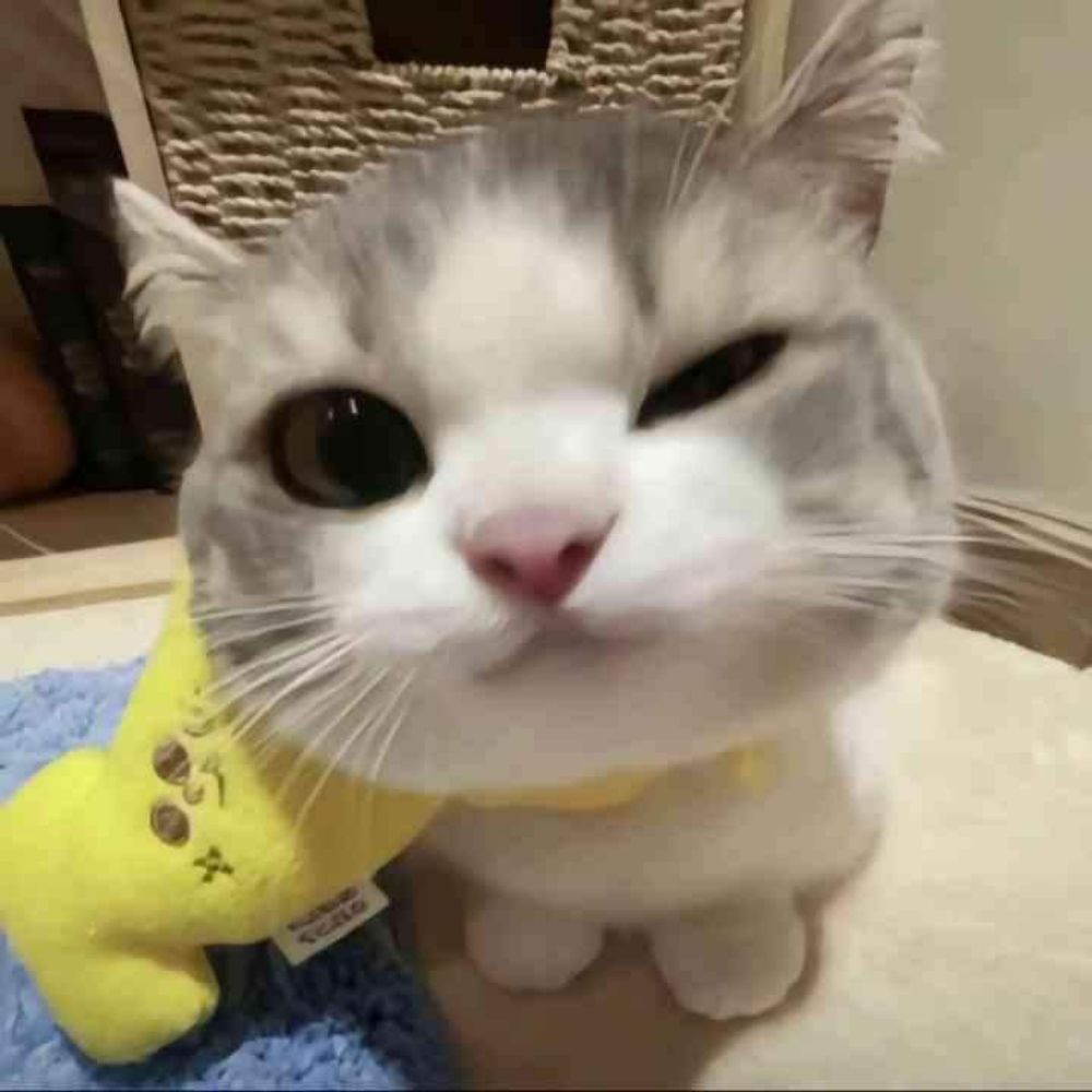 marizinha