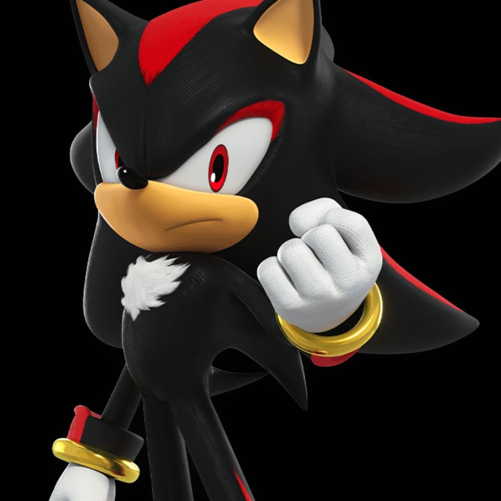 Shadow The Hedgehog