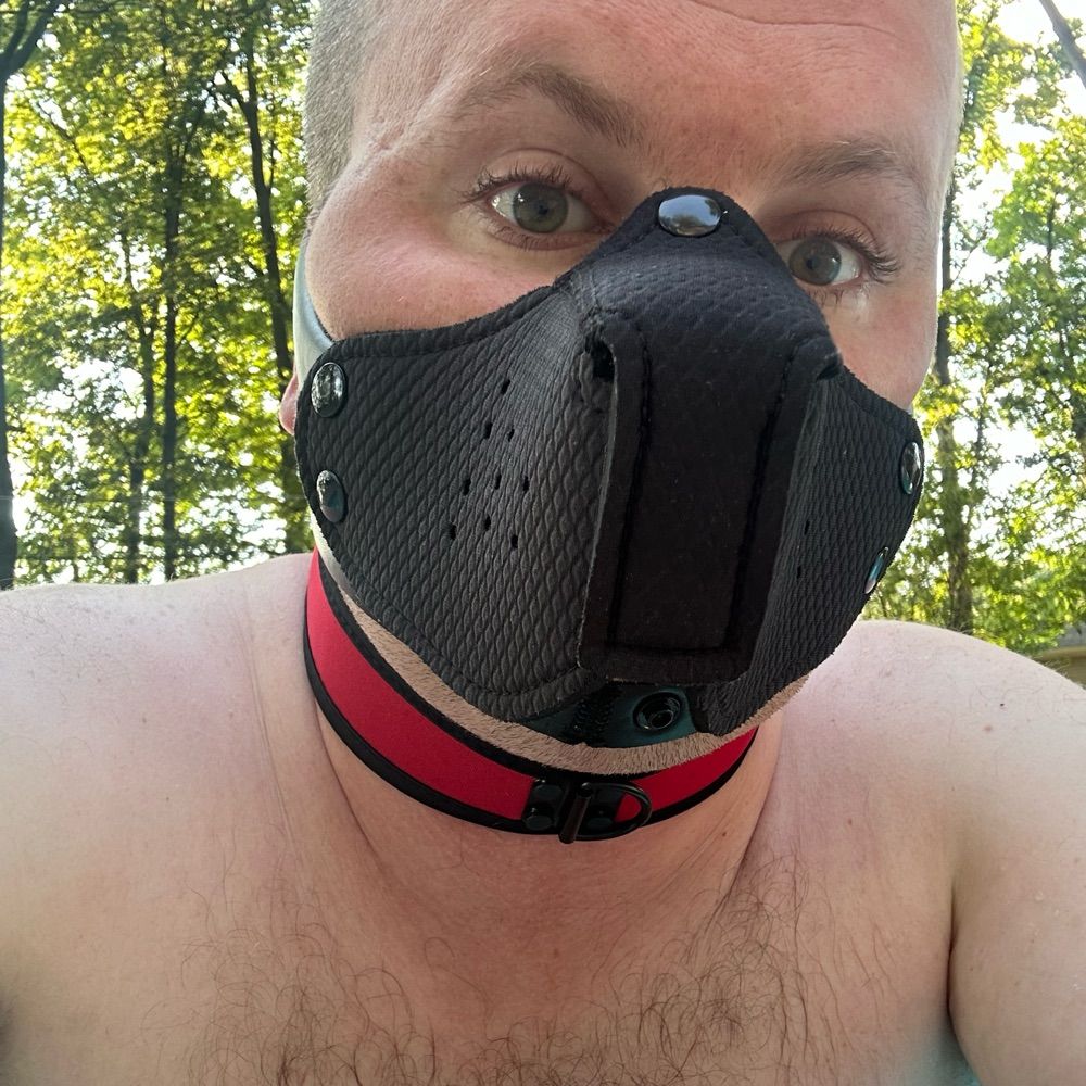 Pup Emerson