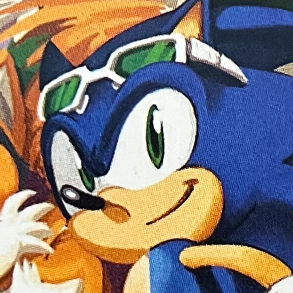 ׂ╰┈★ 𝗦𝗢𝗡𝗜𝗖 𝘁𝗵𝗲 𝗛𝗘𝗗𝗚𝗘𝗛𝗢𝗚.