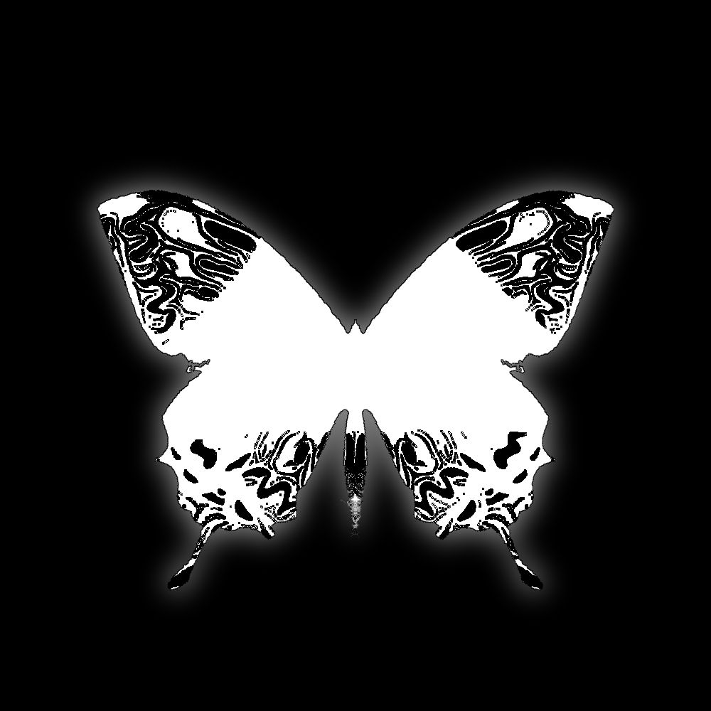 NAVI