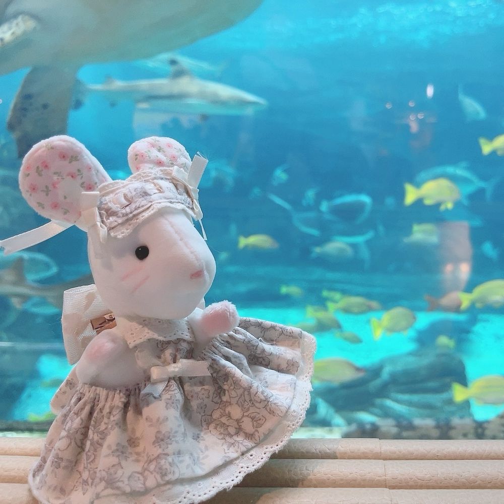 🐙えりこさたこやき伯爵夫人🐙