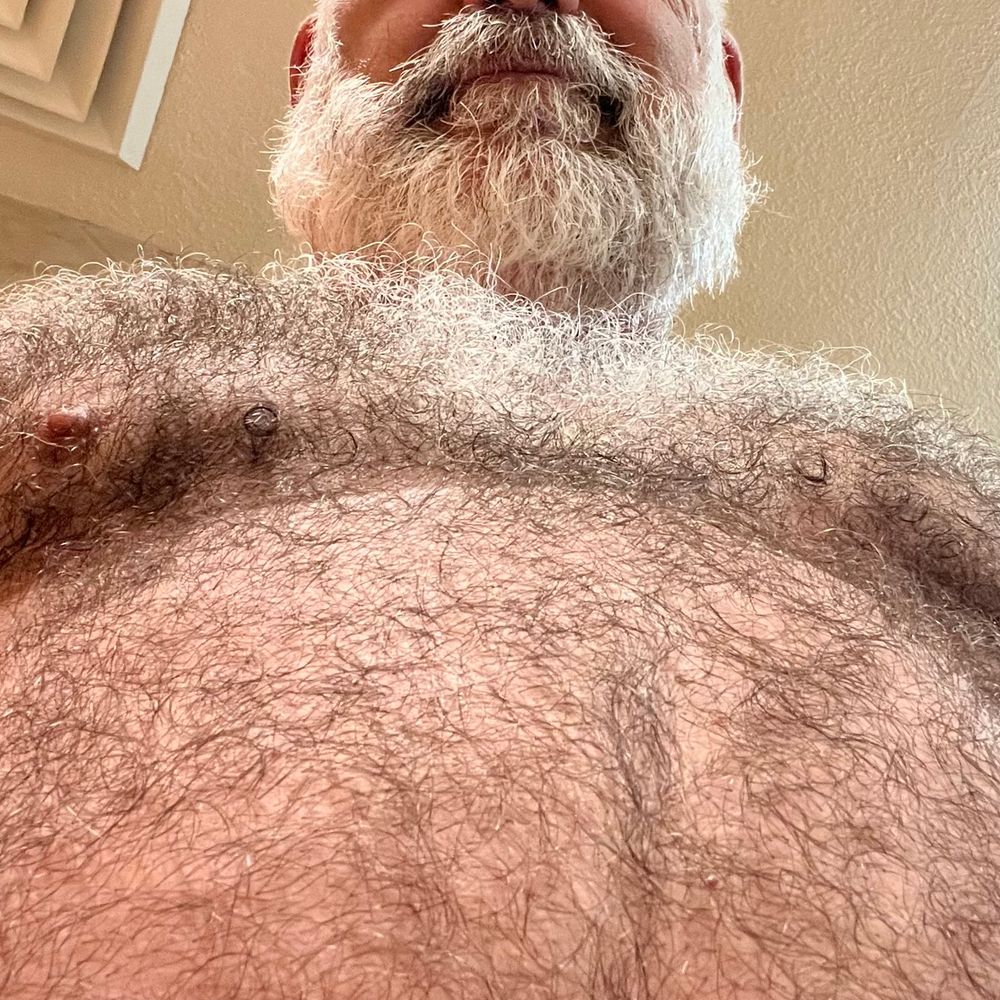 AeroBearAyZed