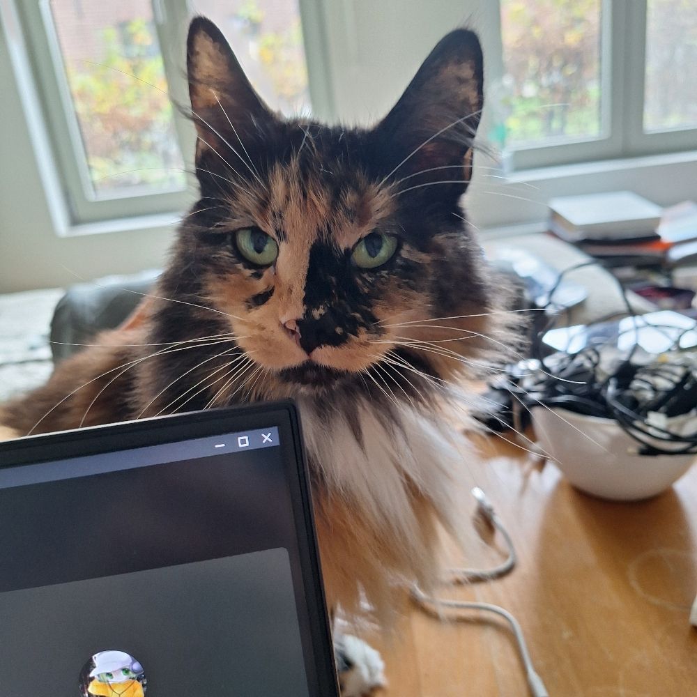 tessi