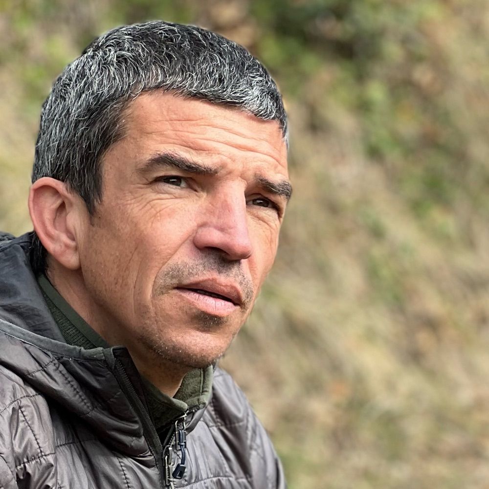 Lluís Pallarès
