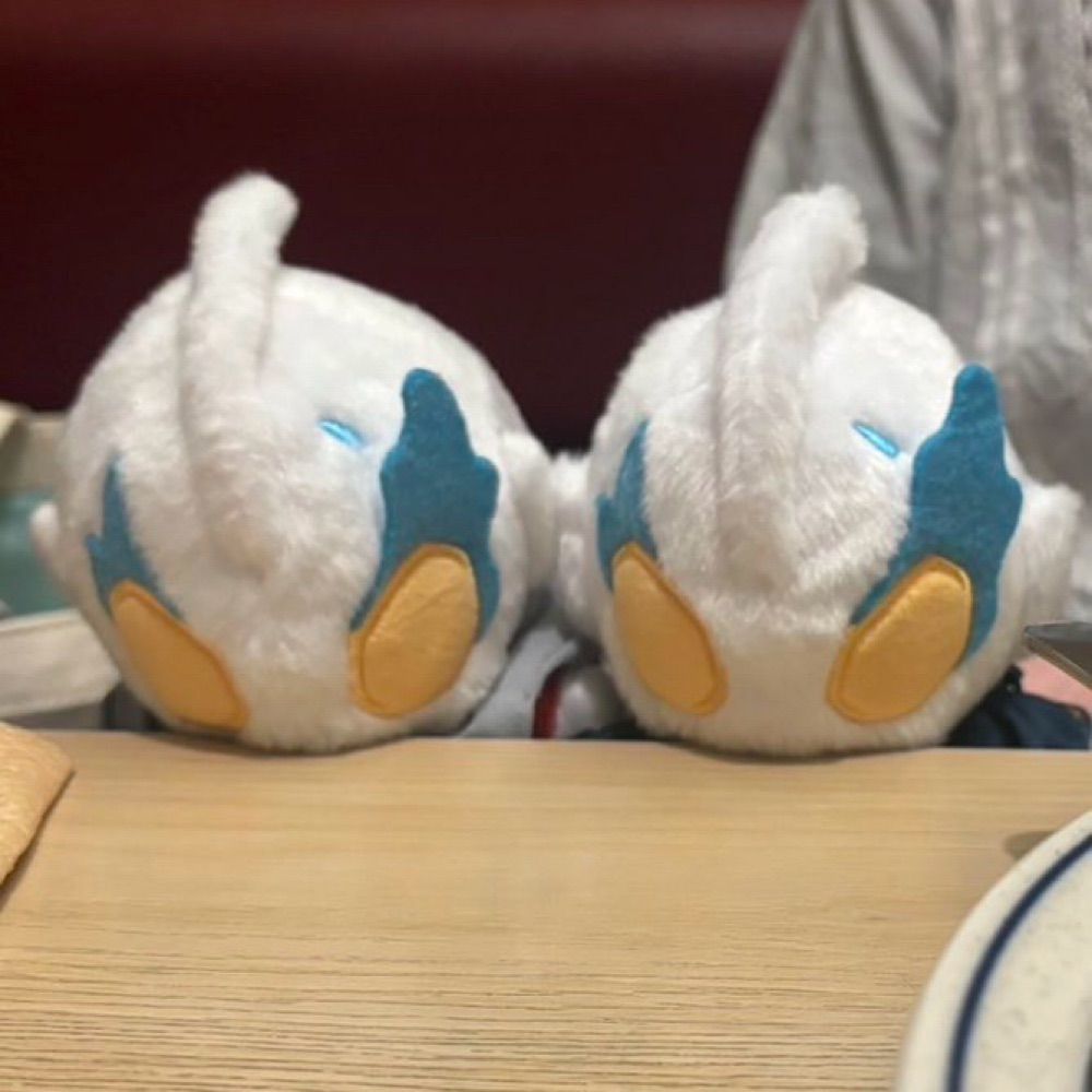 朝陽