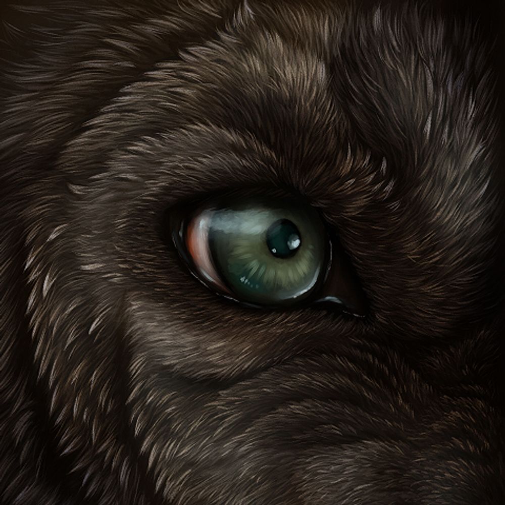 WolfhideWinter