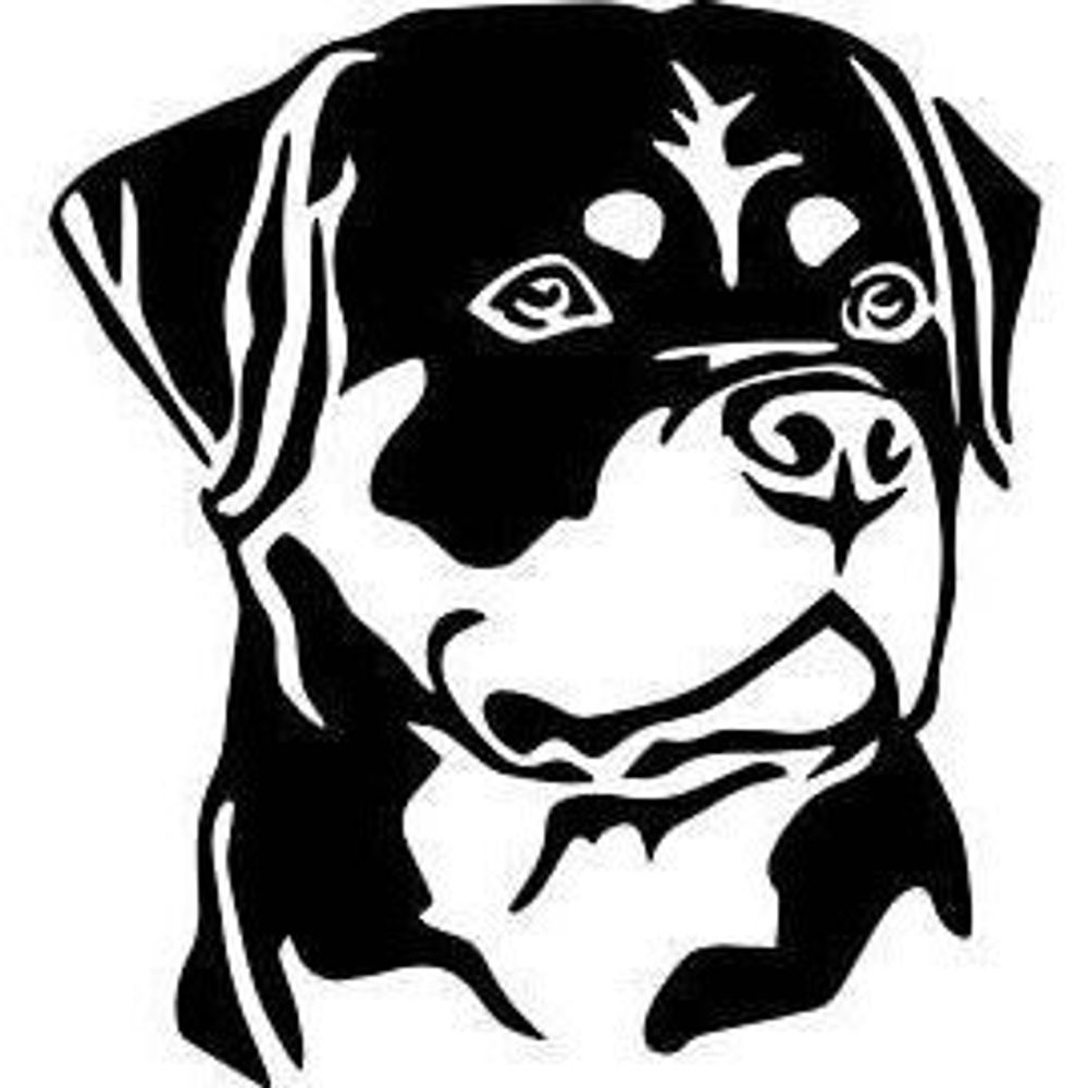 Theodor Rottweiler