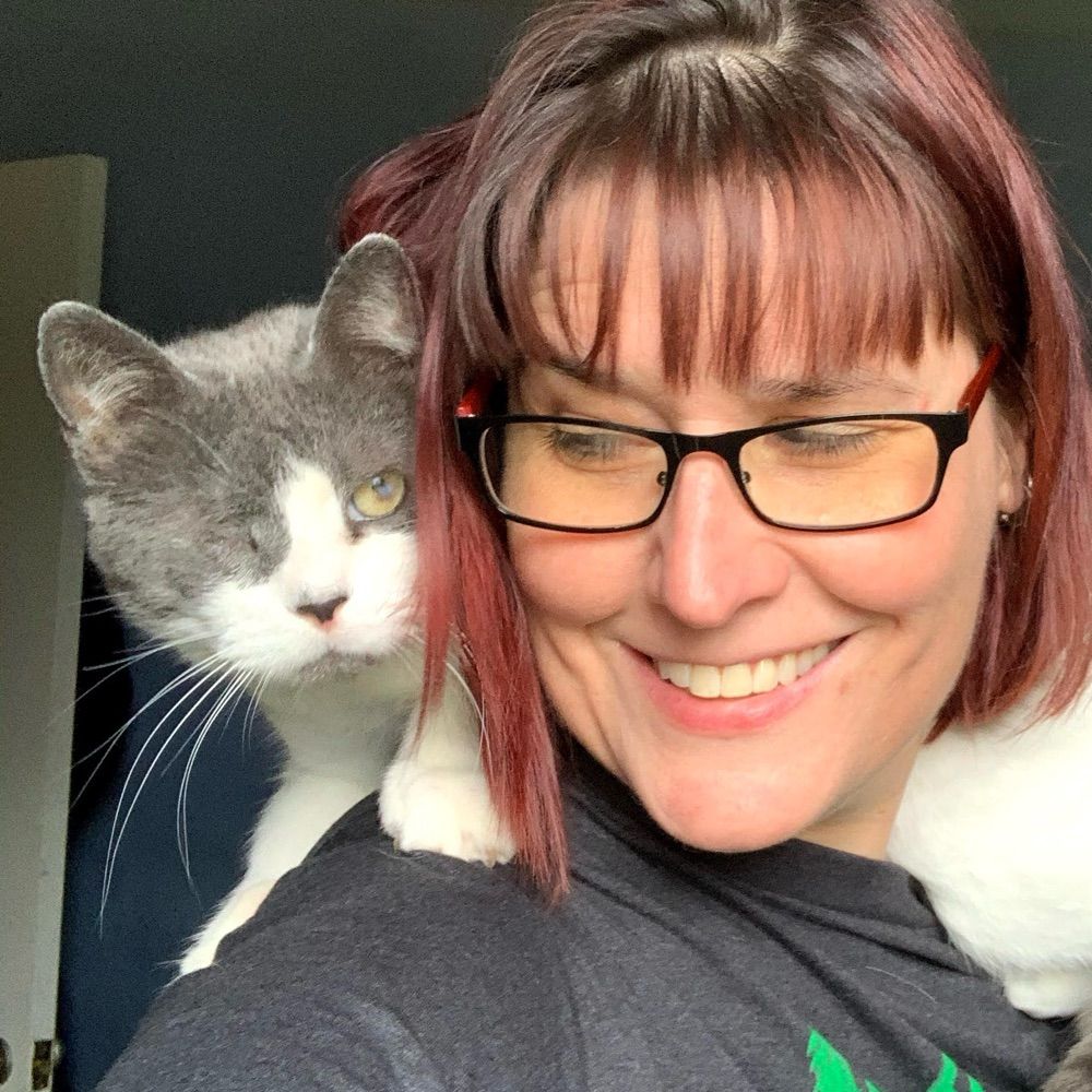 Perfectly Sane Cat Lady
