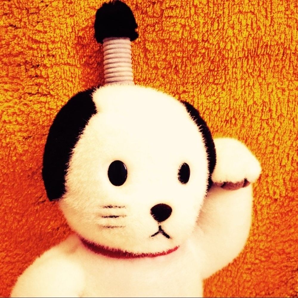 辻城はっち